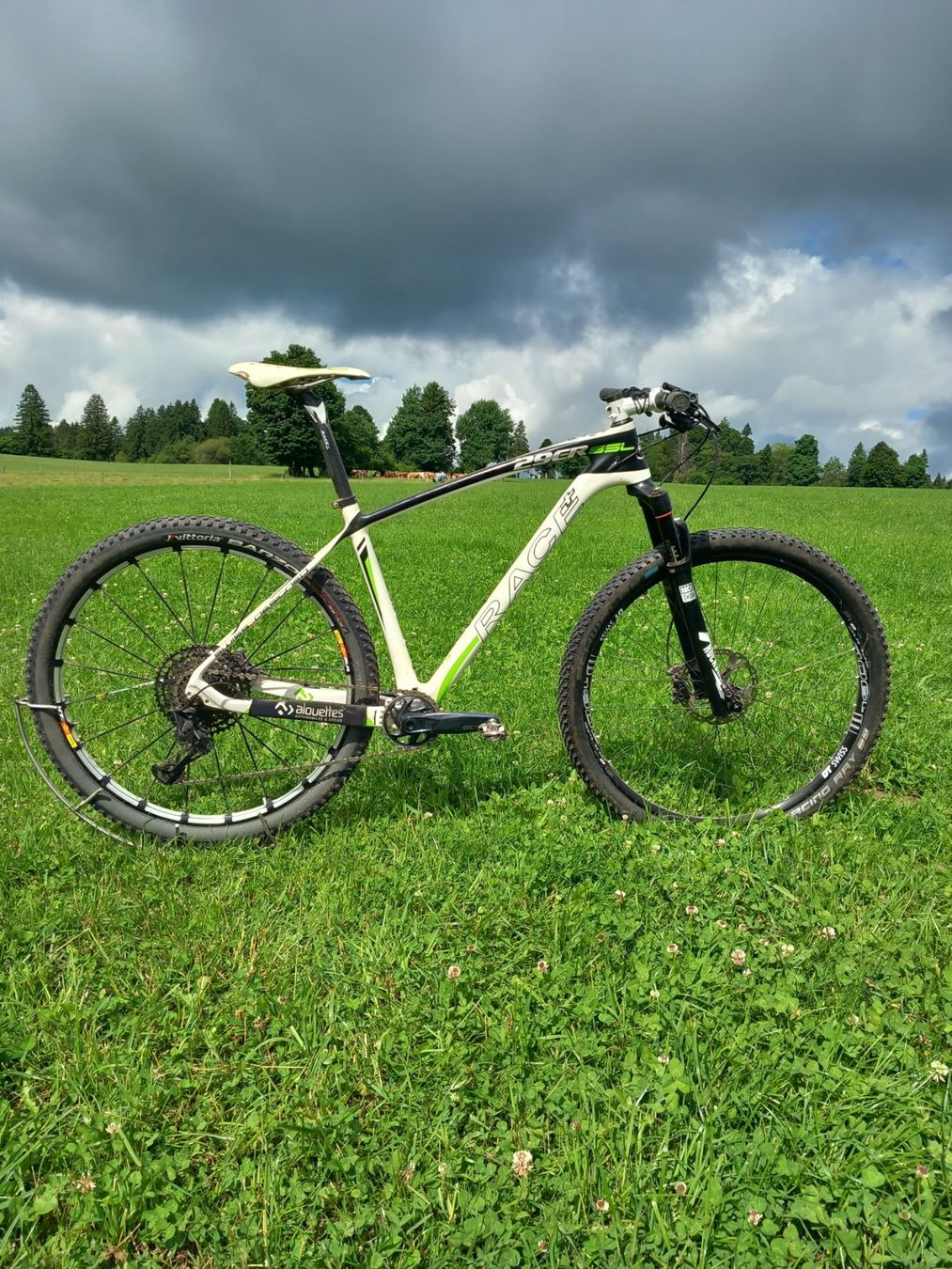 Biciclette: Bike Race SSL carbone – Usato da Tramelan venduto da mic_fnf6 1