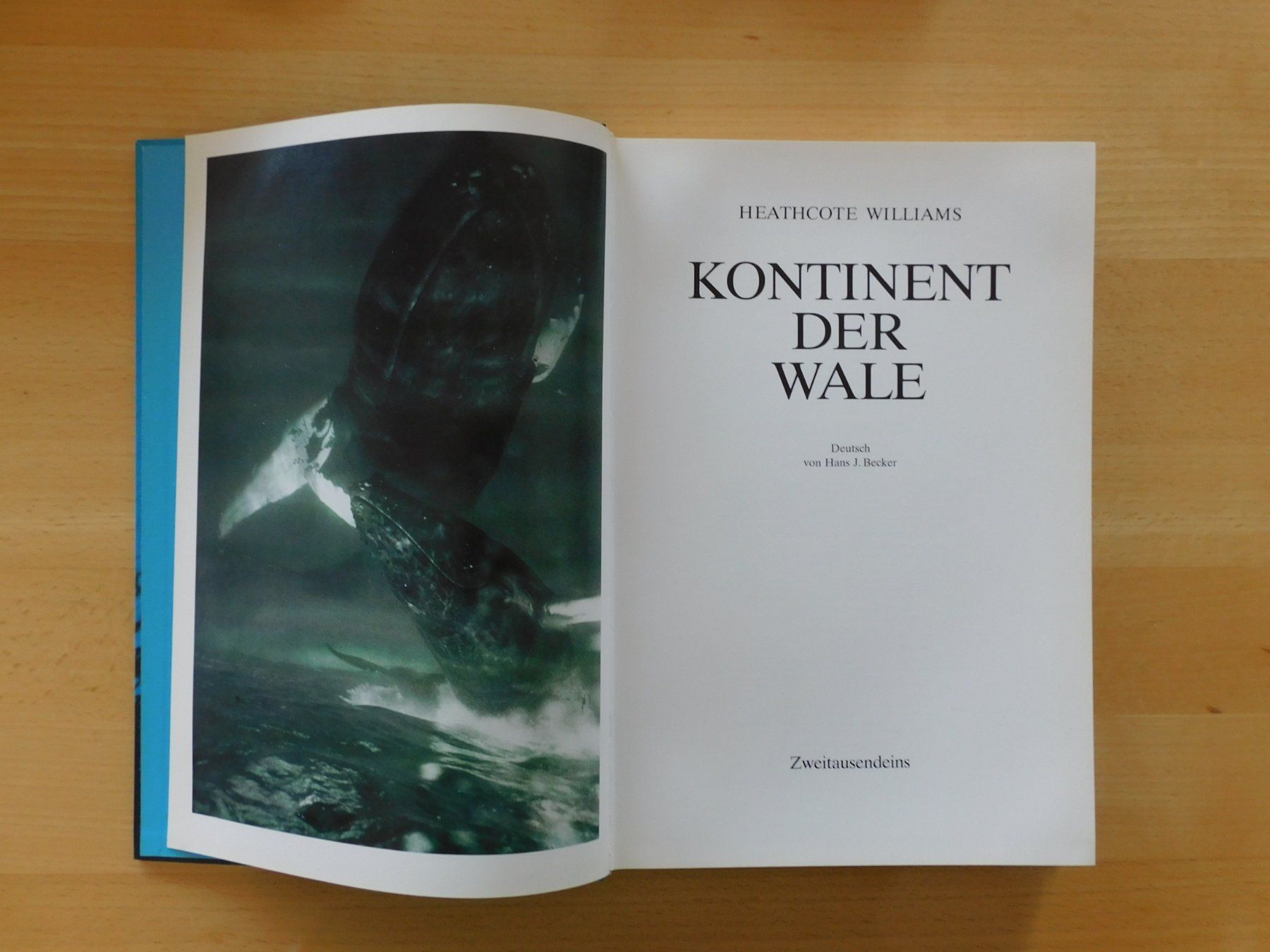 Libri: Kontinent der Wale – Usato da Emmenbrücke venduto da Dickens 3