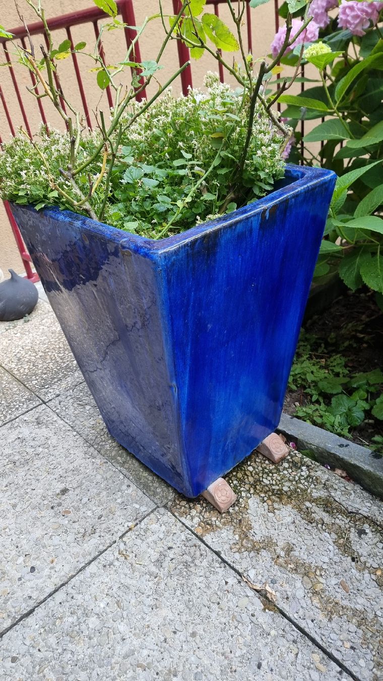 Vasi per fiori: Keramiktopf dunkelblau – Usato da Twann venduto da MW51 2