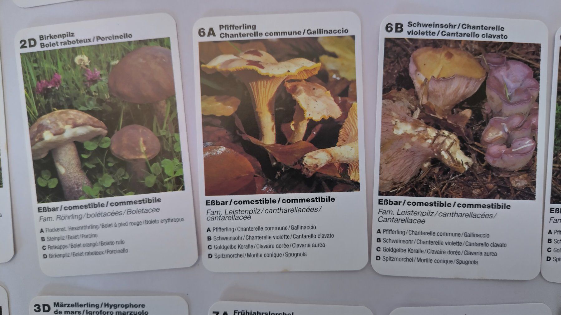 Giochi: Pilze Quartett ab Fr. 5.- / 32 Karten – Usato da Bellach venduto da JingleJerry 6