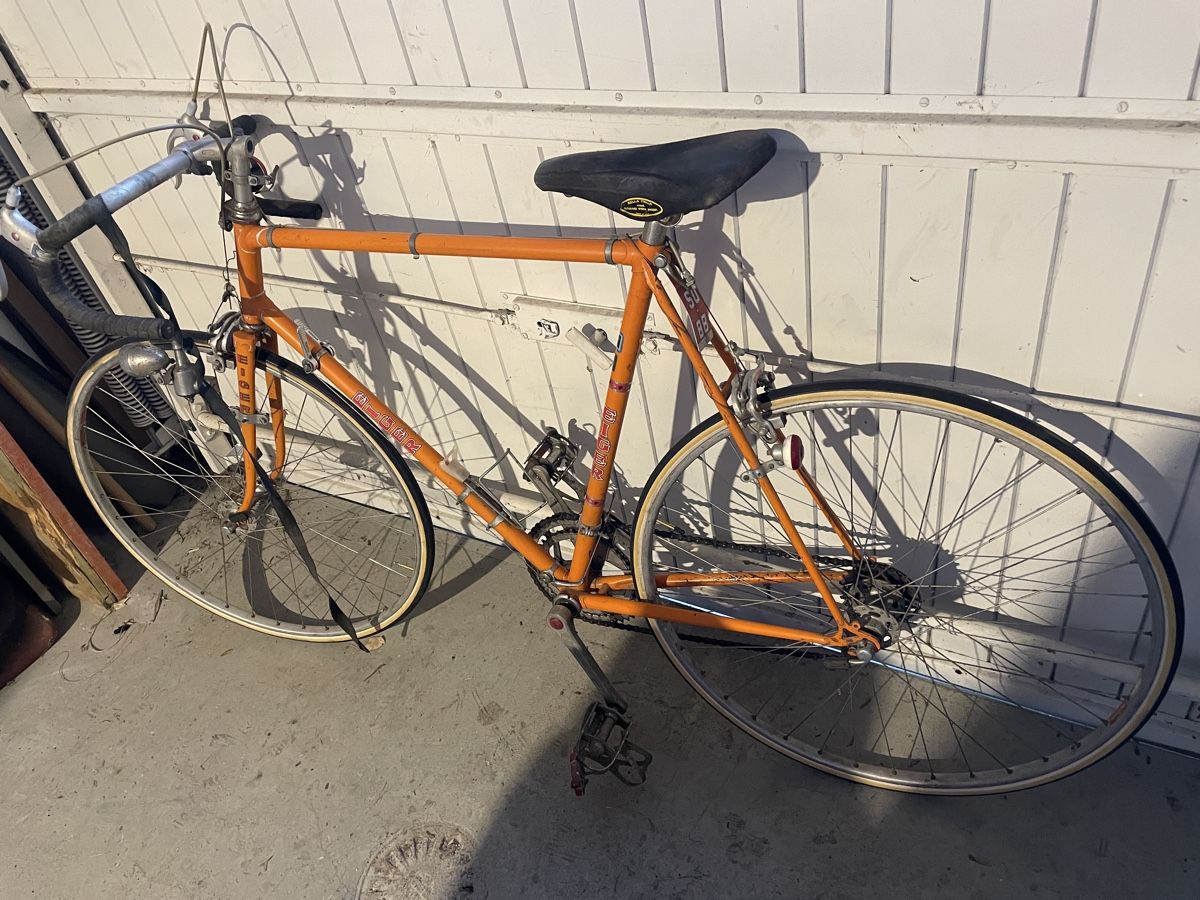 Biciclette: Eiger Rennvelo – Usato da Chur venduto da fan_gh6f