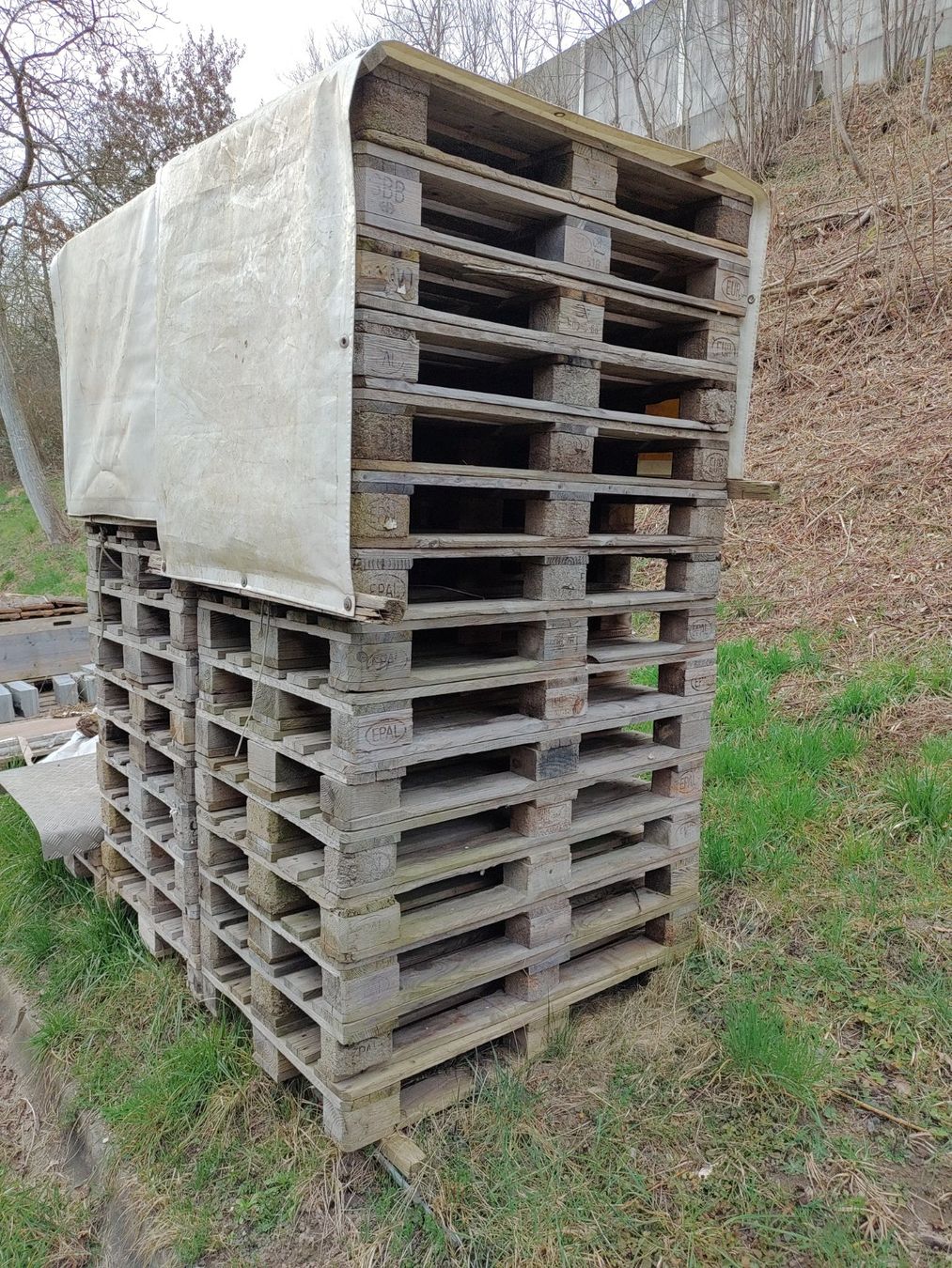 Pallets: Euro Paletten gebraucht – Usato da Boningen venduto da Workhouse 1