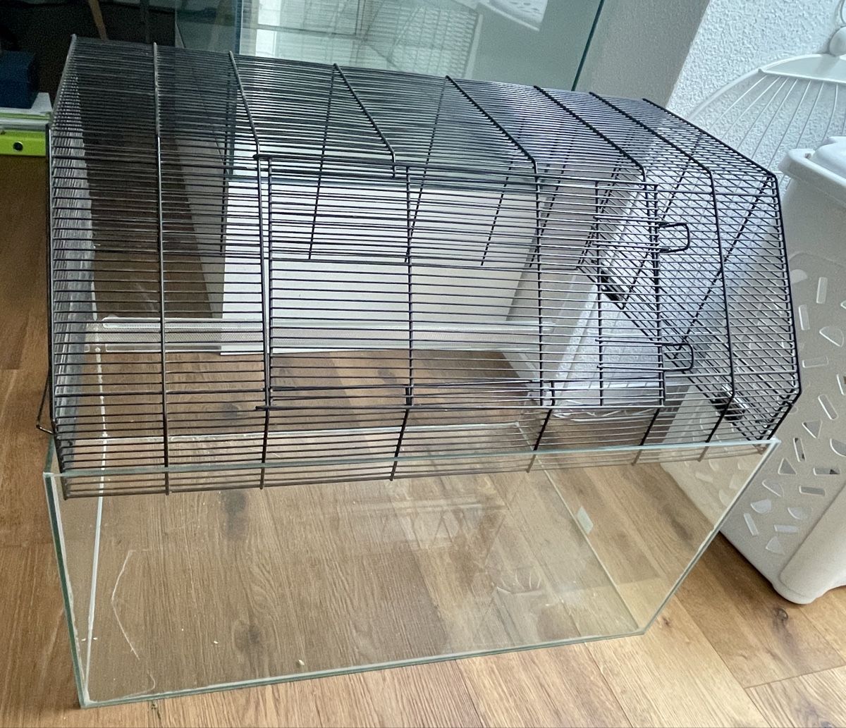 Terrarium: Terrarium Nager – Gebraucht aus Buchrain von famoruwi 1