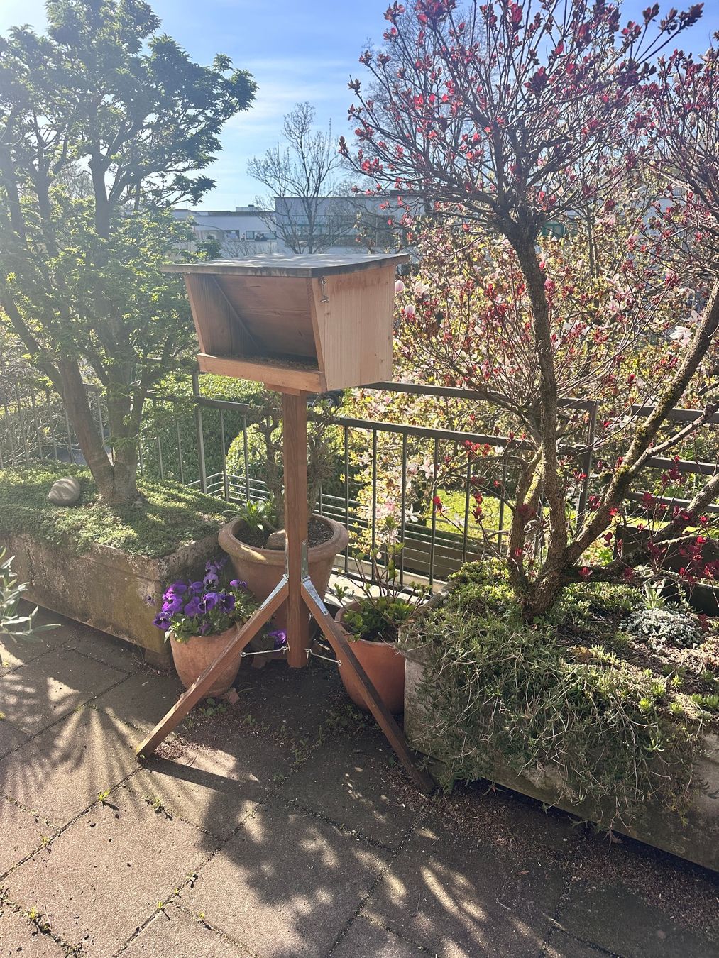 Casette per uccelli: Vogelhaus – Usato da Thalwil venduto da Pindi