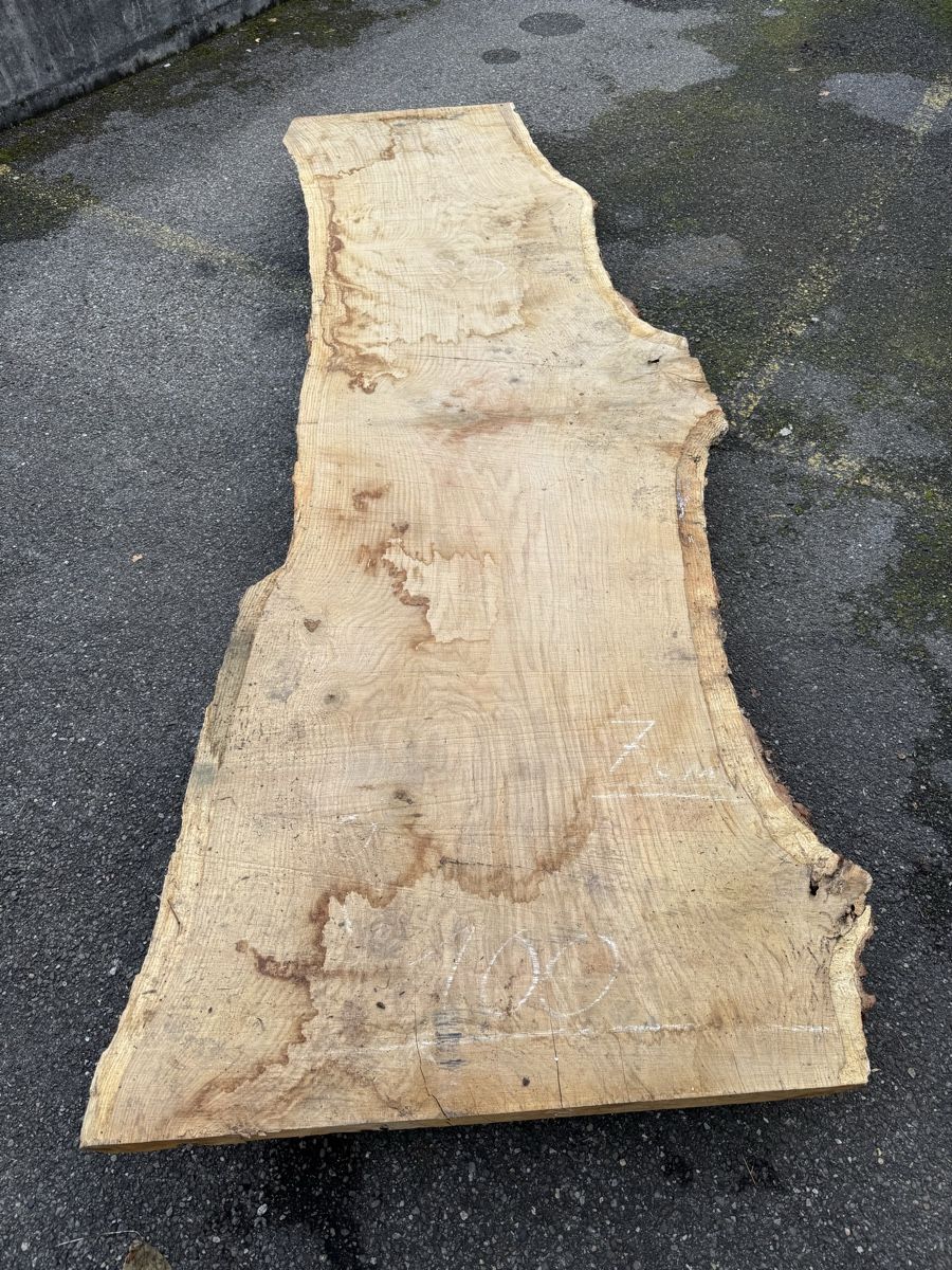 Articoli in legno: XXL - Tischplatte aus einem Stück - massive Baumscheibe – Usato da Gränichen venduto da onkel_xxl 7