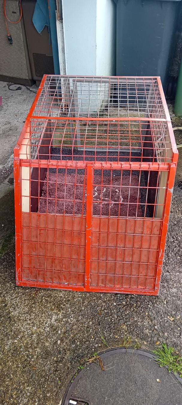 Meiko Gabbie, trasporto & Sicurezza: Hundebox – Usato da Ricken SG venduto da Oesti.ha 2
