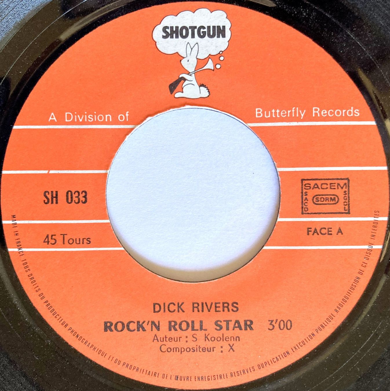 Dischi in vinile: DICK RIVERS - ROCK'N'ROLL STAR – Usato da Bottens venduto da hotter-than-hell 2