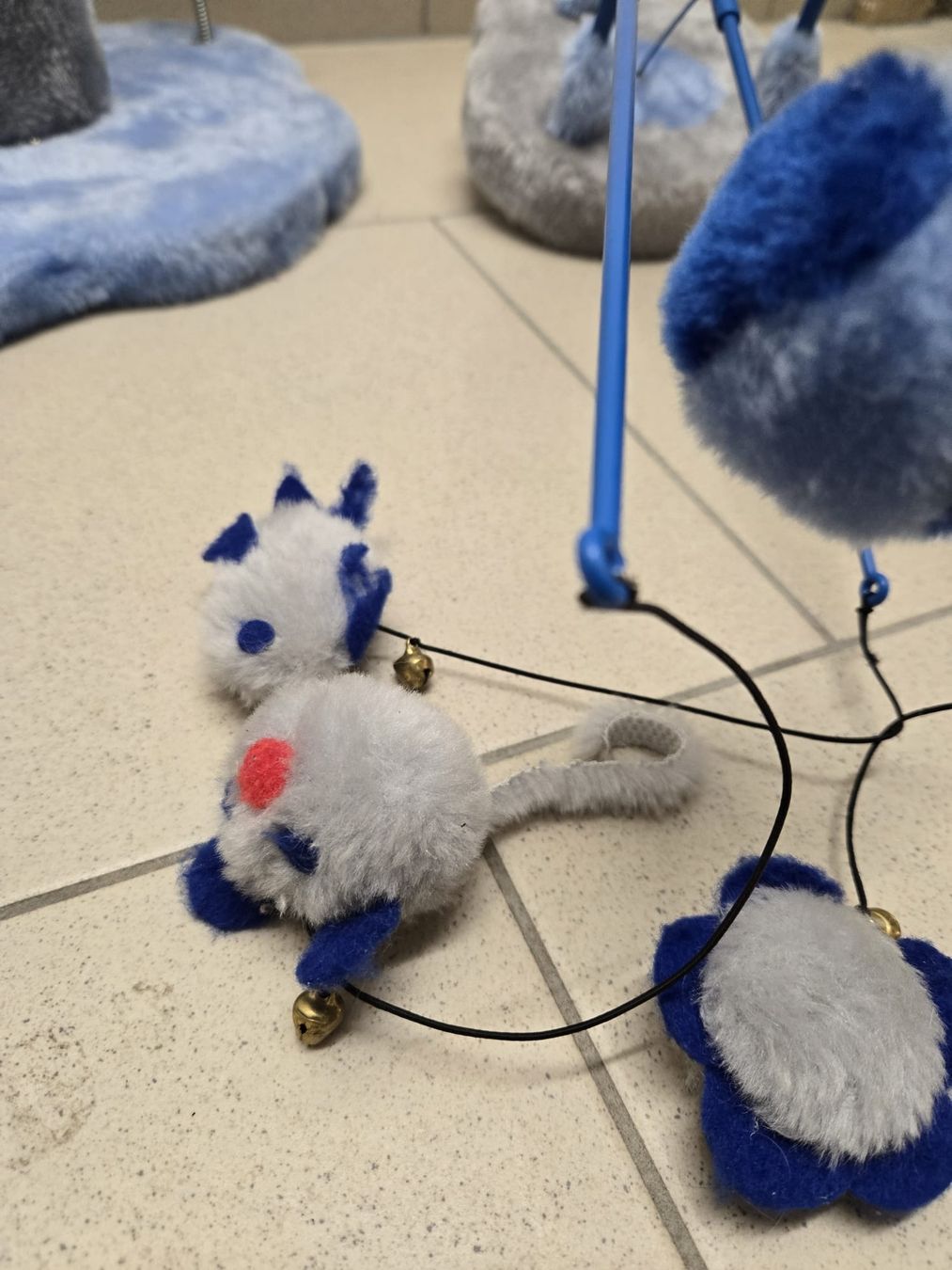 Tiragraffi: Katzenkratzbaum mit Spielzeug blau/grau – Usato da Rheinsulz venduto da Dred 3