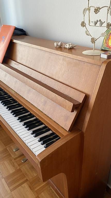Strumenti musicali: Klavier ~ regelmäßig gestimmt – Usato da Zürich venduto da versipelli 1
