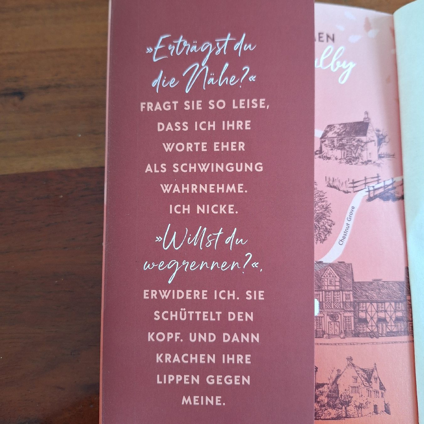 Libri: The Pumpkin Spice Latte Disaster – Usato da Schübelbach venduto da rab02 2