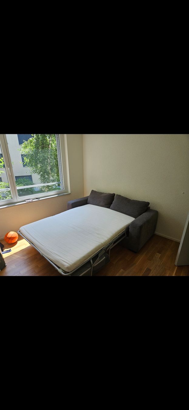 Conforama Divani: Sofa mit auziehbarem Bett – Nuovo (secondo la descrizione) da Regensdorf venduto da ale_n7p2 1