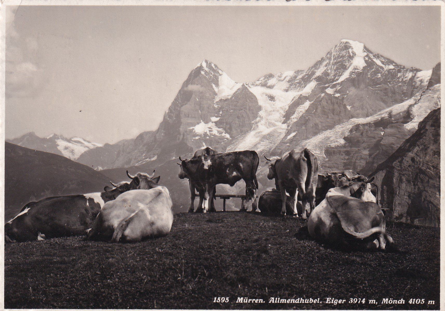 Cartoline postali: Mürren Allmendhubel Eiger, Mönch 1935 – Usato da Cormoret venduto da Pascalll2001