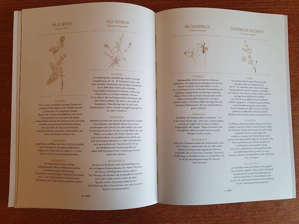Libri: Kochbuch: Essbare Stadt – Nuovo (secondo la descrizione) da Seewil venduto da HevySchluep 3