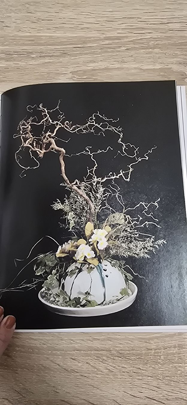 Libri: Töpfern leicht gemacht – Usato da Ostermundigen venduto da Gisler 3