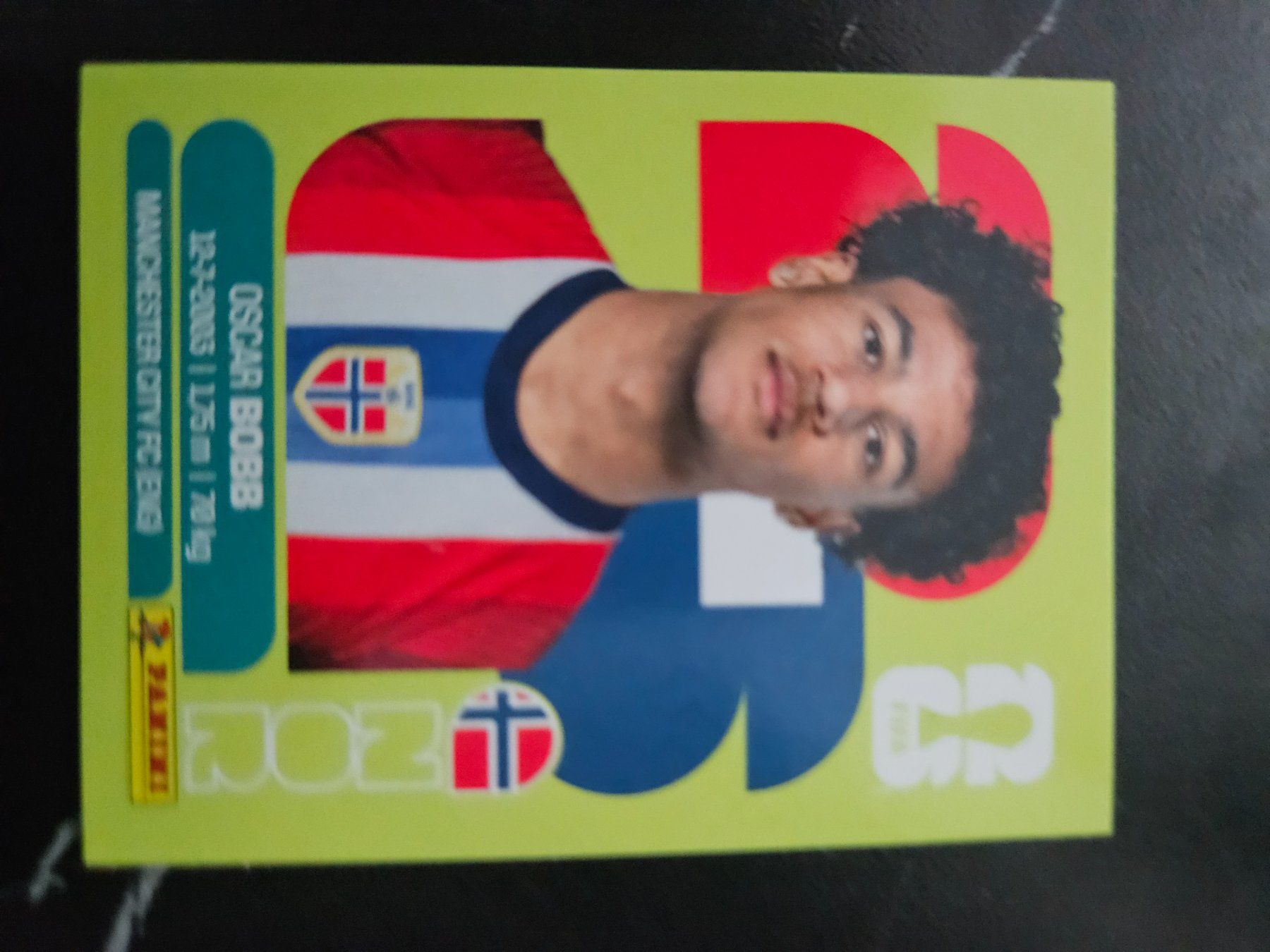 Panini Carte collezionabili: NOR 20 – Usato da Würenlingen venduto da Dinli