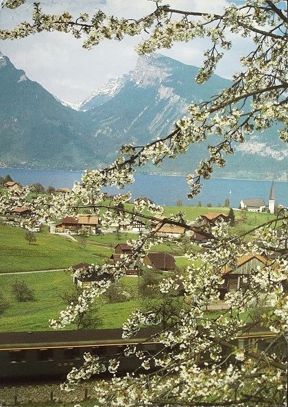 Cartes postales: SPIEZ am Thunersee Bahn SBB – Neuf (Voir description) à Jona par philajona