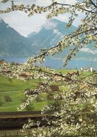 SPIEZ am Thunersee Bahn SBB