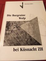 C. Bader - Die Burgruine Wulp bei Küsnacht ZH