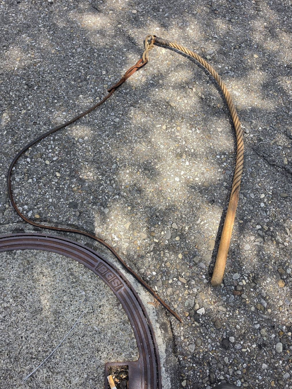 Sonstiges Tierzubehör: Peitsche mit Holzgriff Leder und Seil gebraucht – Gebraucht aus Mettlen von elios0888 4