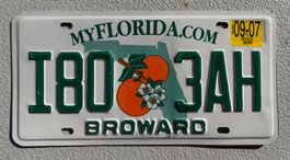 🇺🇸🇺🇸 USA Nummernschild # FLORIDA # 🇺🇸🇺🇸