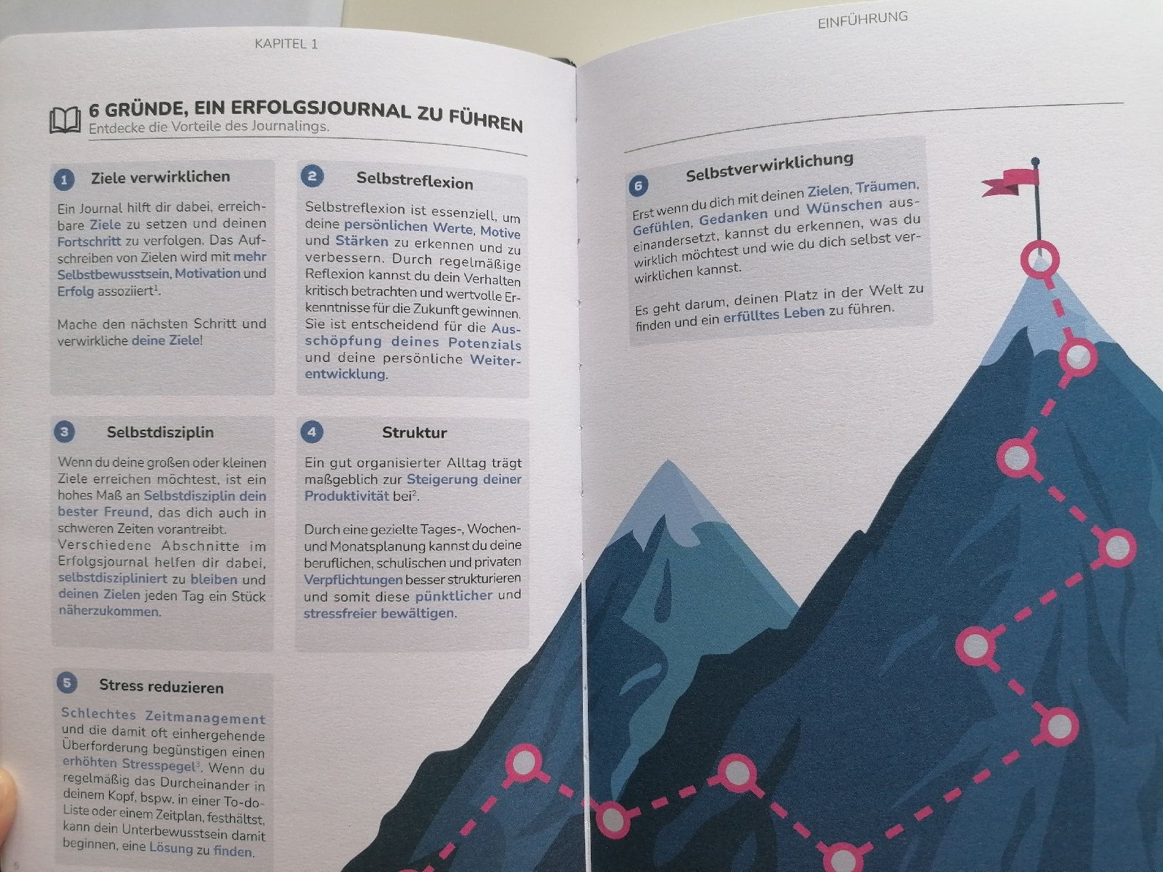 Libri: Erfolgsjournal MOTIVATION – Nuovo (secondo la descrizione) da Diessenhofen venduto da sabrina1204 2