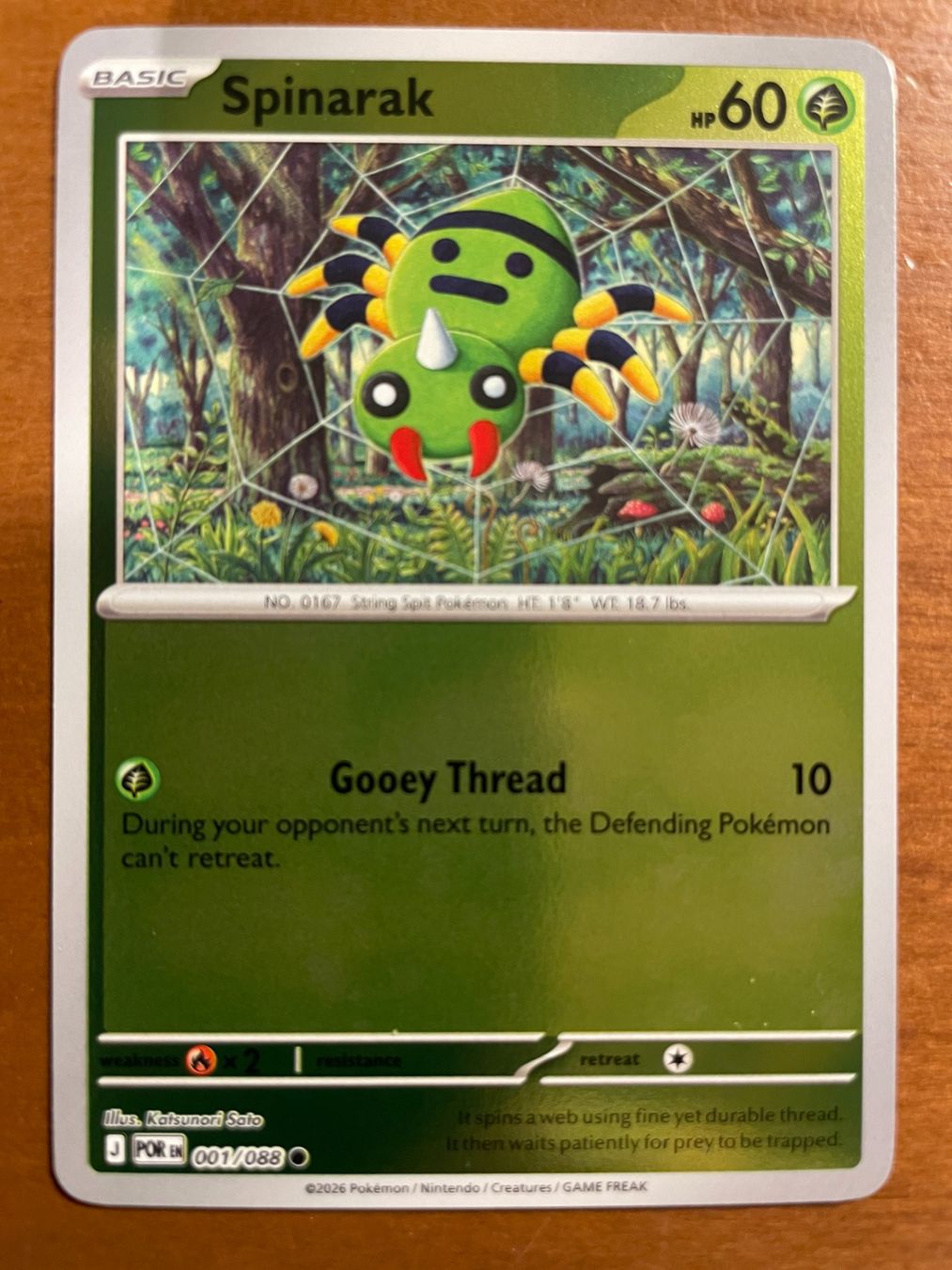Pokémon Carte collezionabili: Pokemon Spinarak Reverse (Versand gratis) – Nuovo (secondo la descrizione) da Chur venduto da Angerson