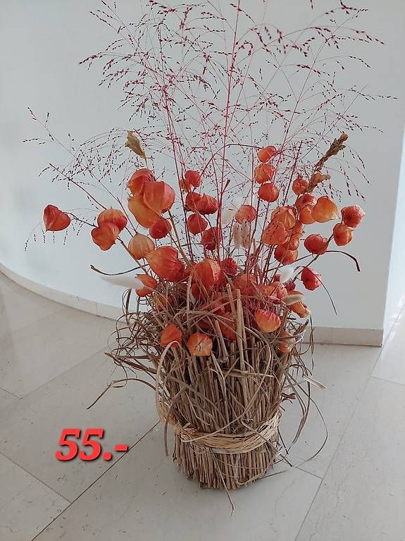 Tutte le decorazioni: Trockenblumen  Dekoration neu – Nuovo e nell'imballaggio originale da windisch venduto da gravity2 4