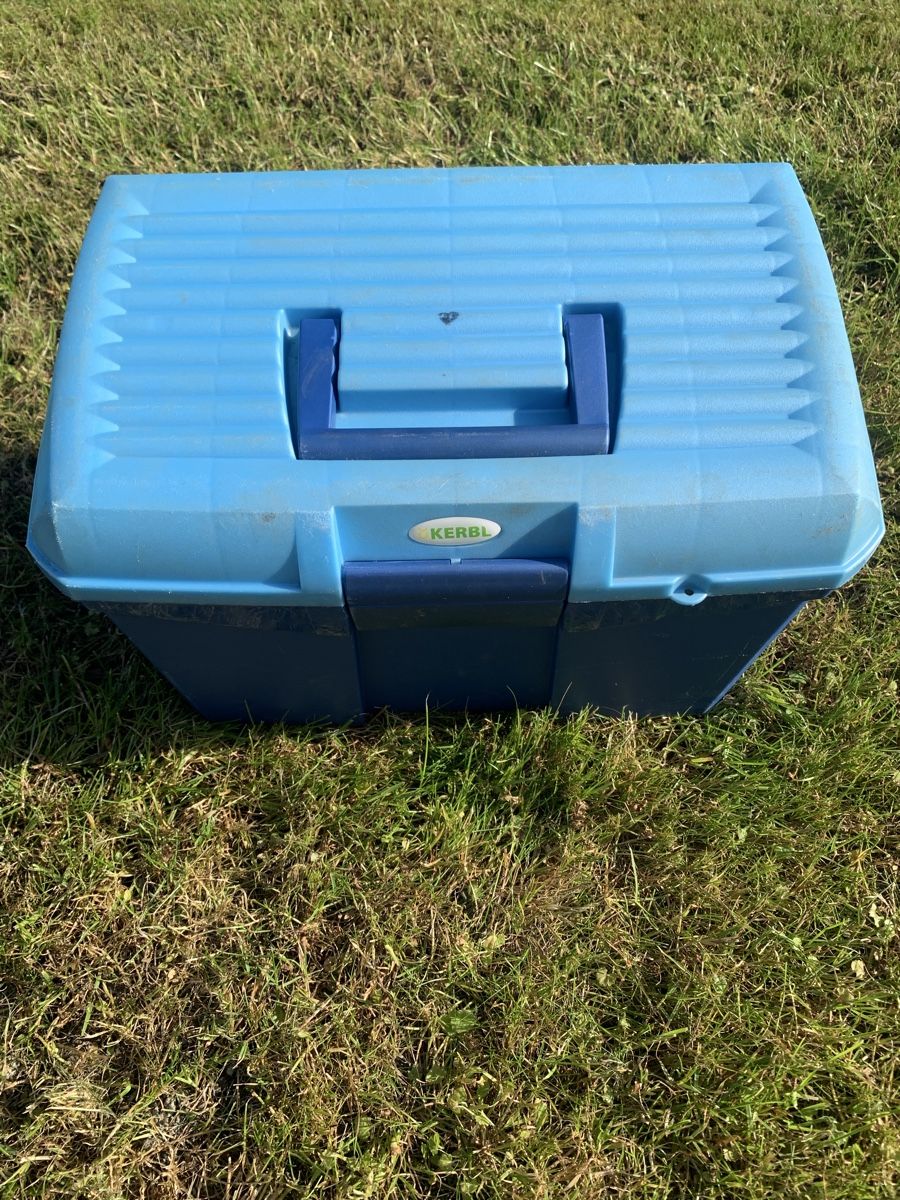 Altro per la casa: Putzbox mit Striegel – Usato da Widnau venduto da S31 5