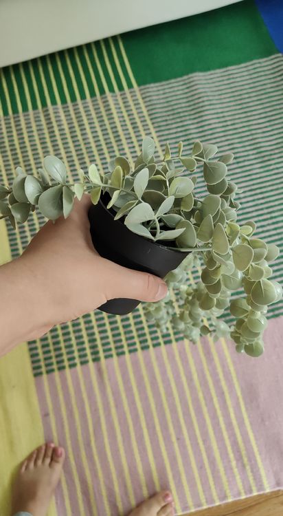 Künstliche Eukalyptus Pflanze, Ikea Kaufen auf Ricardo