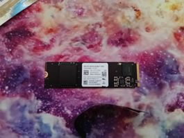 Western Digital WD SN 740 80mm 2280 2TB SSD Neu