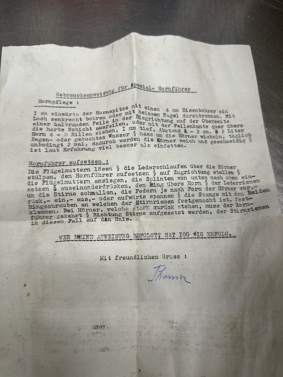 Campanacci mucche: Spezial- Hornführer – Usato da Schwende venduto da weesli 5
