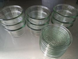 9x Weck-Sterilisierglas 0.25 L Sturzform (3)