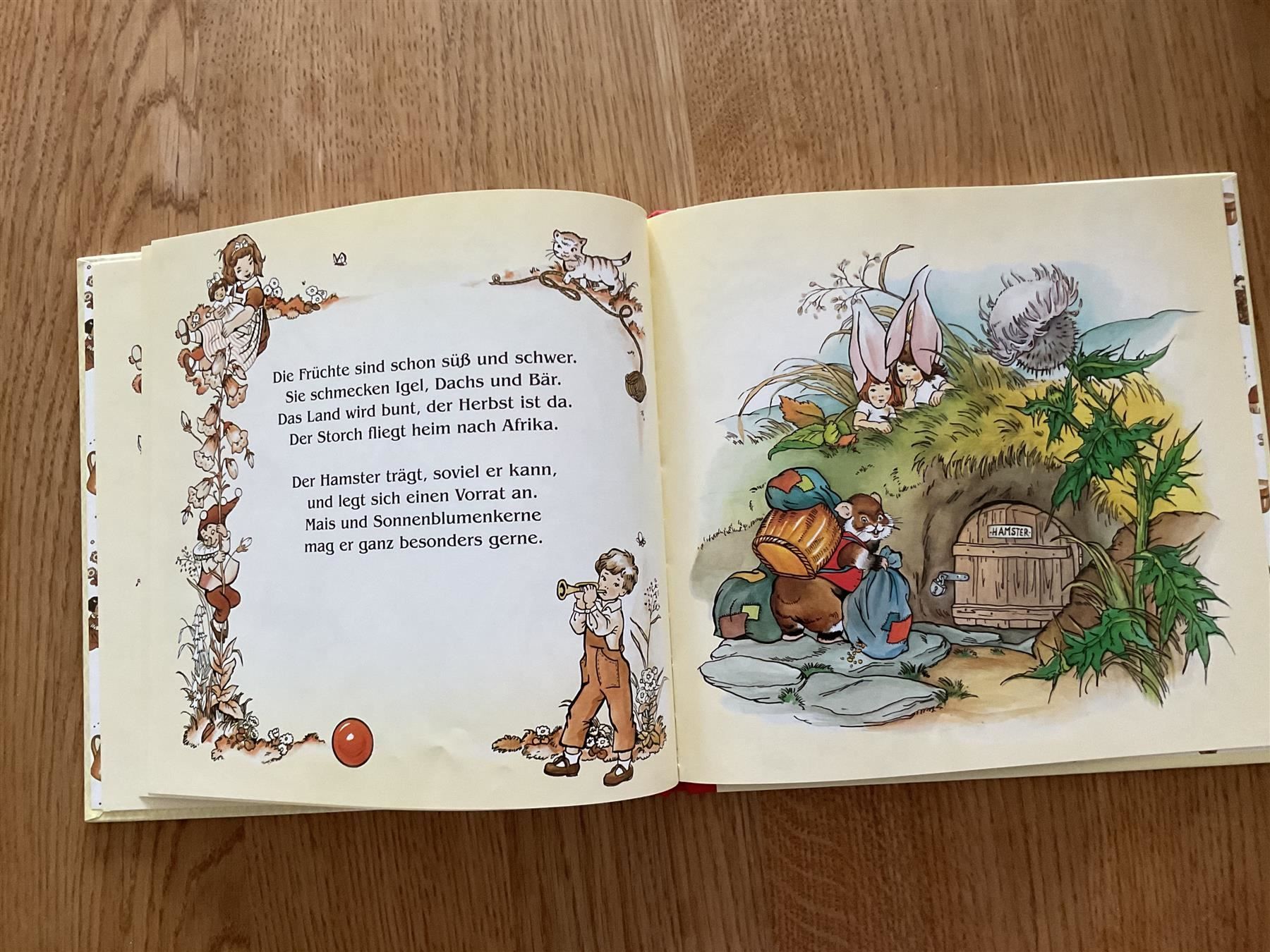 Libri: Puck der Waldzwerg Julius Breitschopf – Usato da Wetzikon ZH venduto da Libelle01 3