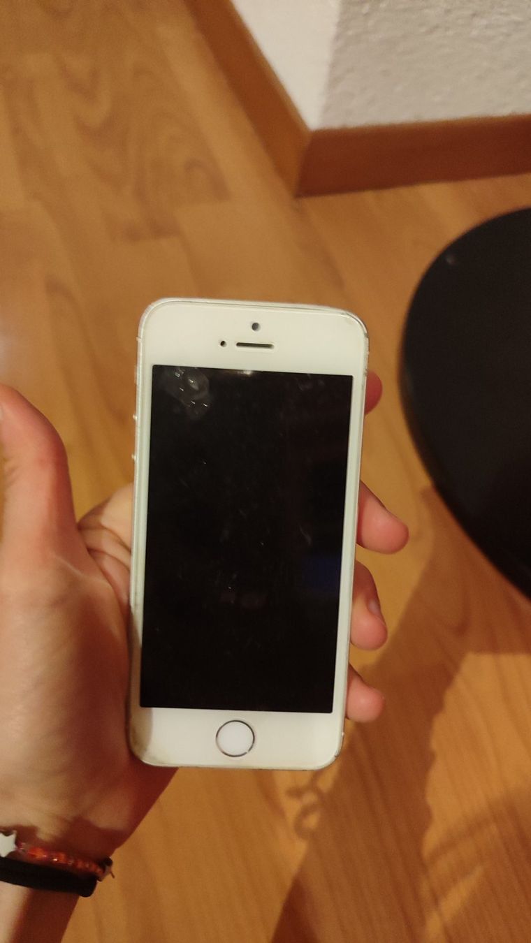 Apple Telefoni cellulari / Smartphones: Apple iPhone 5s inklusive Schutzfolie & Hülle – Usato da Brüttisellen venduto da nic_xm7s