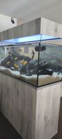 aquarium 600l
