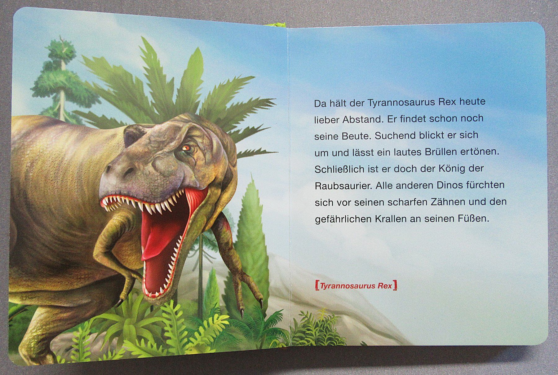 Bücher: Dinosaurier - Dinostarkes Vorlesebuch - Kindersachbuch – Gebraucht aus Auenstein von Padabimbim 3