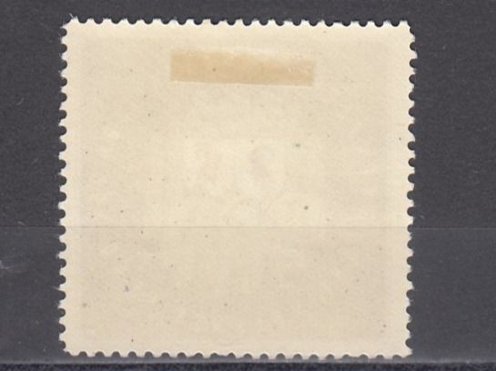 Tutti i francobolli: Grenztruppen Wi 193 * – Usato da Bürglen TG venduto da StampGraf 1