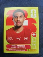 Panini WM 2026 Sticker SUI 7 Aurele Amenda United Edition
