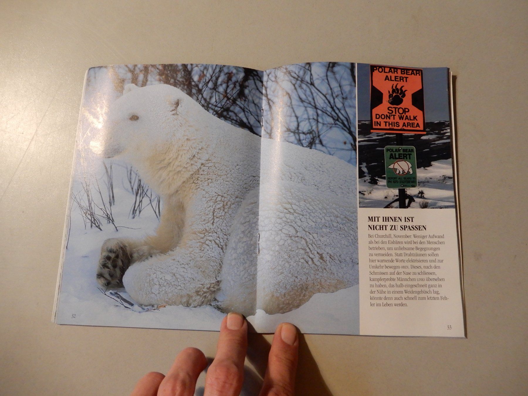 Libri: Makis Gut, Eisbär - Born for Freedom-Kinderbuch,Top! – Usato da Erstfeld venduto da Mario_boe0 5