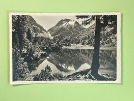 Ober-Engadin - Maloja