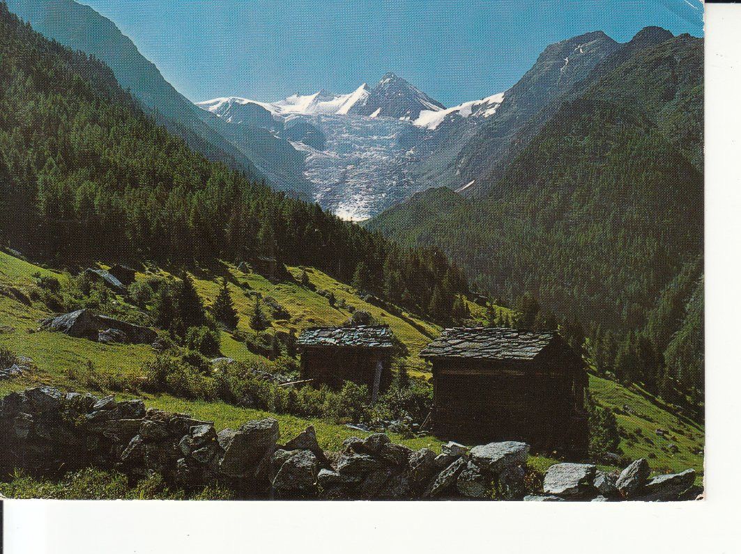 Cartoline postali: Grächen-Ried 1975 – Usato da Bürglen TG venduto da StampGraf