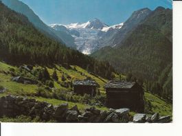 Grächen-Ried 1975