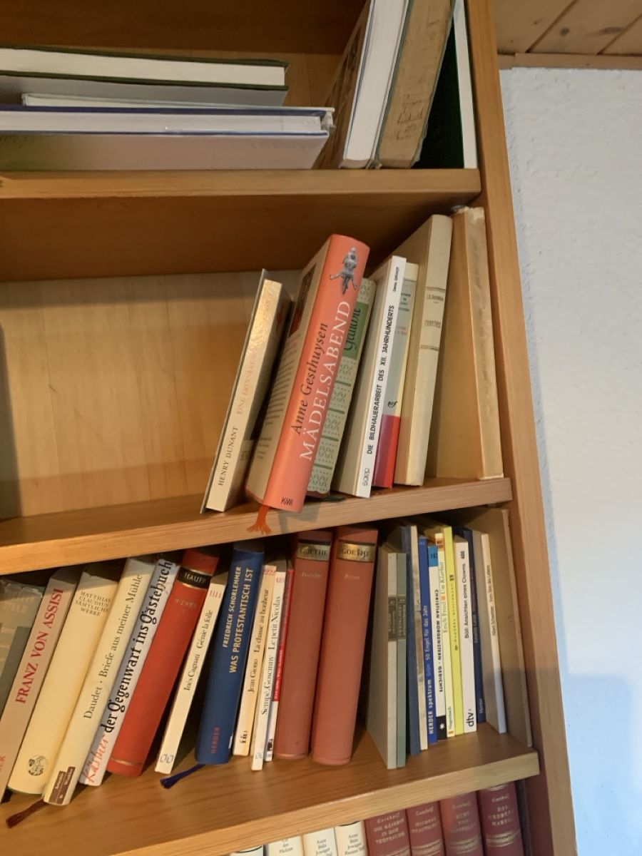 Libri: Lot Bücher mit Gestell – Usato da Murgenthal venduto da Padoni60 2