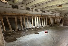     Altes Kuhstall-Fanggitter aus Berner Bauernhaus