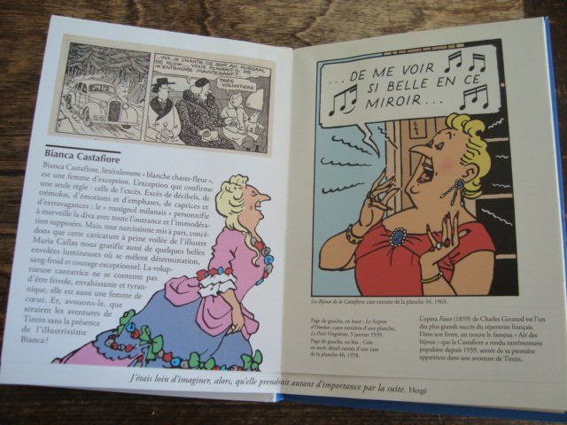 Bücher: Hergé, Tintin & compagnie – Neu (gemäss Beschreibung) aus Fribourg von ruswil007 2