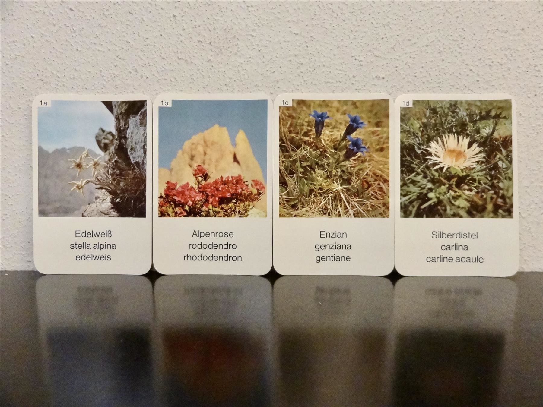 Spiele: altes Quartett BLUMEN-QUARTETT BLUMEN – Gebraucht aus Kerzers von wisaundsowiso 3