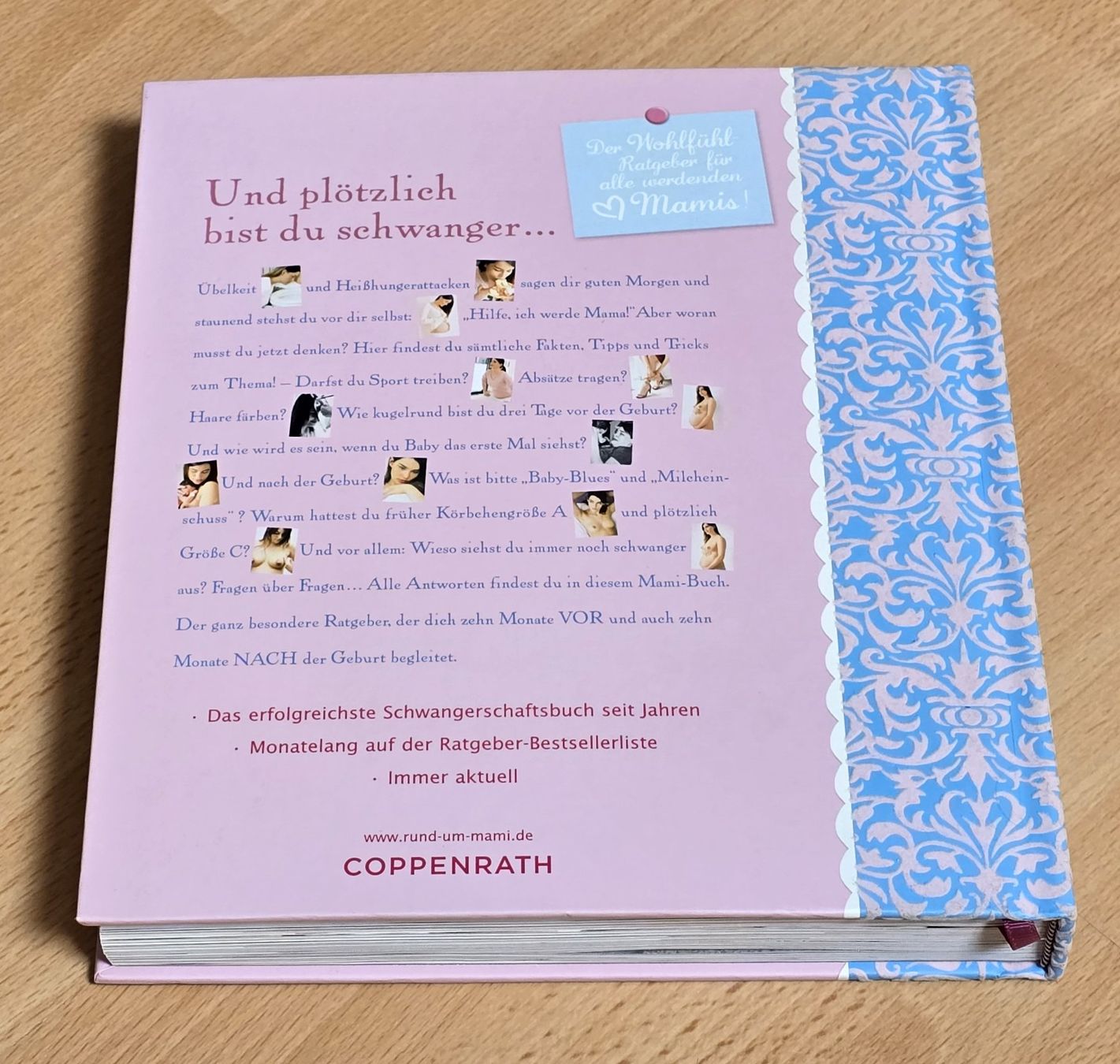 Bücher: K. Kessler - Das Mami Buch, Schwangerschaft, Geburt & danach – Gebraucht aus Kloten von xenia-ainex 1