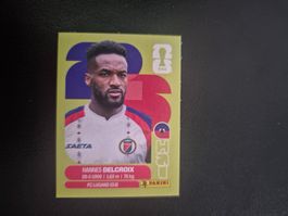 Panini WM 26 HAI 9