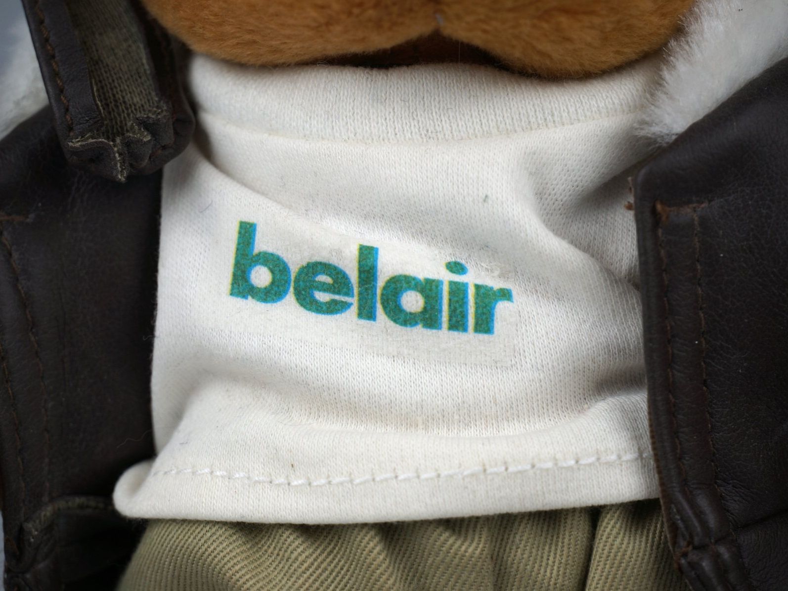 Tutte le decorazioni: Belair Plüsch Teddybär 8" – Usato da Rüti ZH venduto da Restwert_Rueti_ZH 5