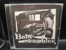 Babyshambles – Shotters Nation
